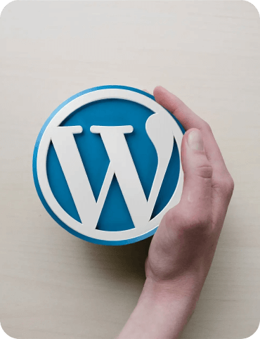 wordpress nedir